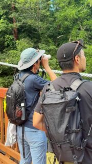 「NOCSと歩く烏川渓谷自然観察ウォーク - 学びをカタチに自分でつくるいきもの図鑑」
プロのガイドさんと共に烏川渓谷を散策する
自然観察ウォーク初日の様子をご紹介📹
涼風を感じる渓流沿いを、
NOCS PROVISIONS の双眼鏡/単眼鏡を手に野鳥を探します。
90分ほどの間に、コゲラ、アカゲラ、オナガ、カワガラス、キセキレイなど、さまざまな鳥を見ることができました🌳
お店へ戻ったあとは、図鑑の作成。
実際に観察できたコゲラを作りました🎨
自然の中で出会う鳥たちは、
ひたすらに美しく、そして力強いですね。
ガイドさんの話しも面白く、とても勉強になりました👀
📍Place: @yau.outdoor 
🗺️Guide: @bright.field.co 
🦉Product: @n_o_c_s 
📕Product: @knockdesign.official 
Day 1: Exploring the Karasugawa Valley with a Professional Guide 📹
Here's a look at the first day of our nature observation walk, strolling through the Karasugawa Valley with a professional guide!
We searched for wild birds along the cool, breezy stream, equipped with NOCS PROVISIONS binoculars and monoculars.
In about 90 minutes, we spotted a variety of birds, including Japanese pygmy woodpeckers, great spotted woodpeckers, azure-winged magpies, brown dippers, and grey wagtails 🌳.
After returning to the shop, we created a nature guide entry, specifically illustrating the Japanese pygmy woodpecker we observed 🎨.
The birds we encountered in nature were simply beautiful and powerful.
The guide's stories were also fascinating and very educational 👀.